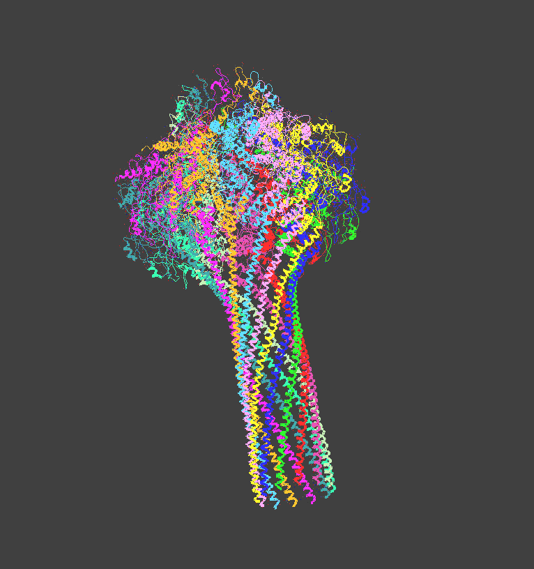 Protein Visualizer